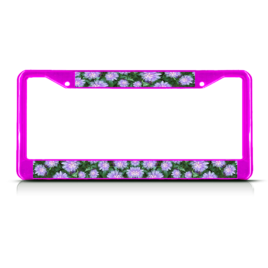 PASSION FLOWER FLOWERS Pink Metal License Plate Frame Tag Holder eBay